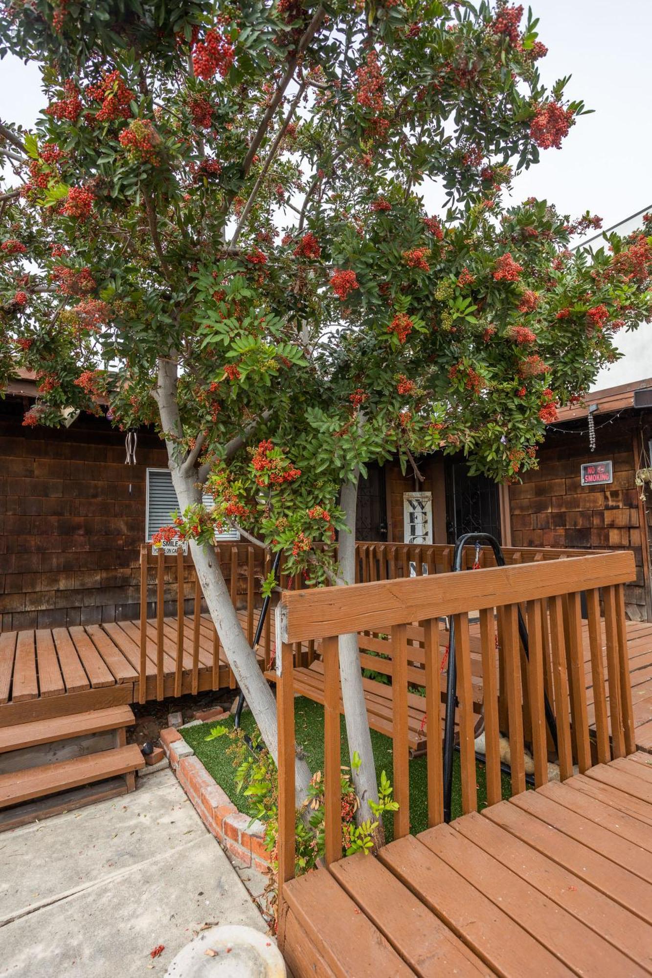 Spacious Guest Suite Amazing Location San Diego Eksteriør billede